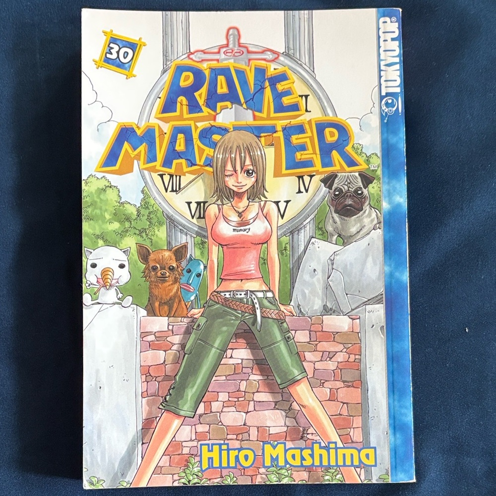 Rave Master Volume 30 Manga